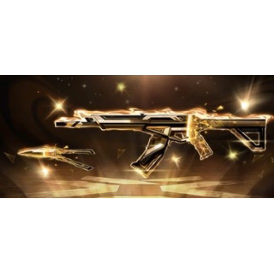 【VALORANT】Champions 2025 Vandal